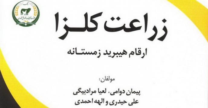 زراعت کلزا، ارقام هیبرید زمستانه