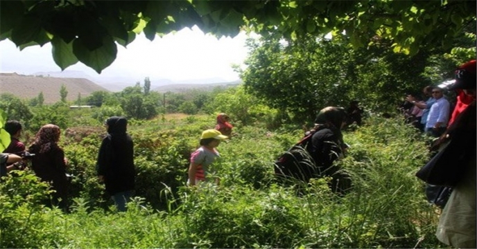 معرفی گردشگری کشاورزی
