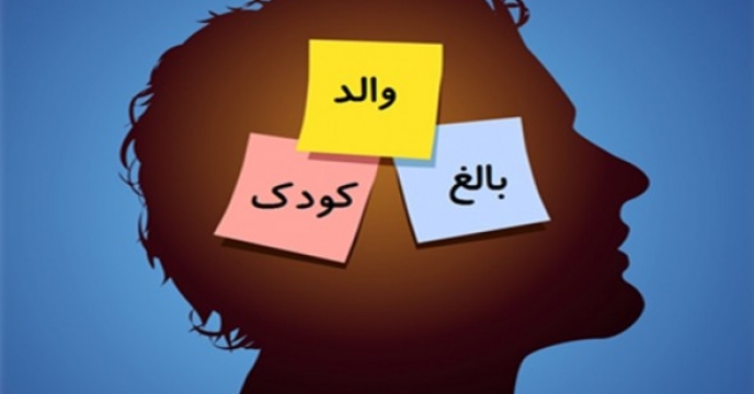 تحلیل رفتار متقابل