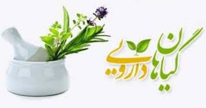تجارت گیاهان دارویی و فراورده های آن