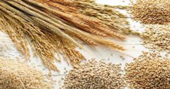 پیش بینی فائو از وضعیت غلات در سال 19-2018