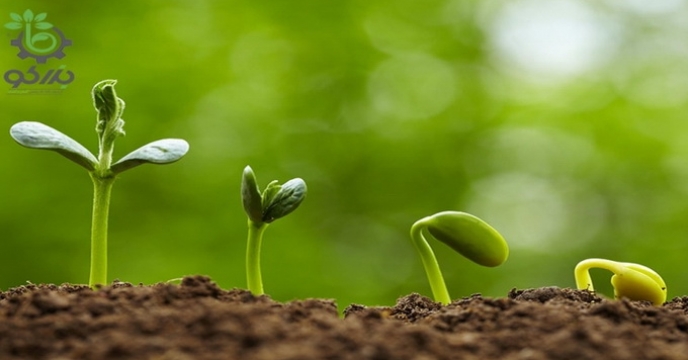 پوشش دار کردن بذور (بخش اول)