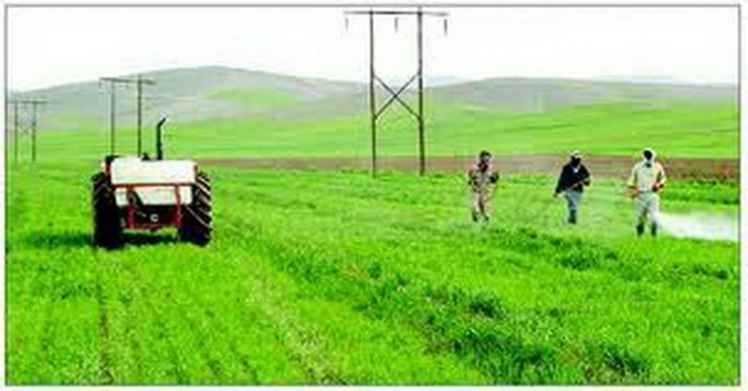 تحقيقات كشاورزي و انتقال تكنولوژي به جوامع روستایی
