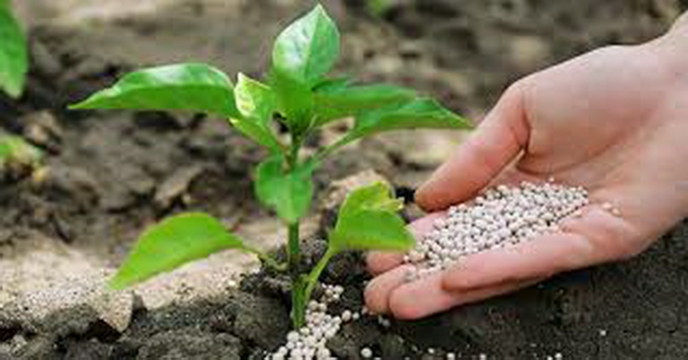 ثبت کودی_ کودهای زیستی