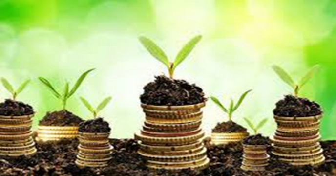 مروری بر روش های حمایتی بخش کشاورزی
