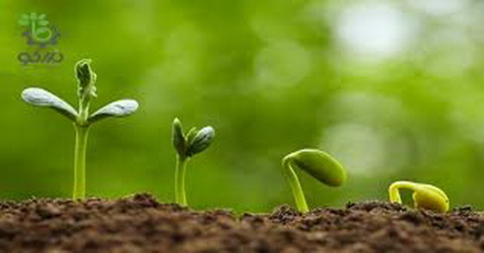 پوشش دار کردن بذور (بخش دوم)