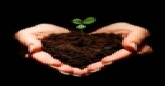خاک را کیمیا کنیم (2)