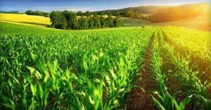 پایش و ارزشیابی سیاست های کشاورزی در کشورهای عضو سازمان همکاری اقتصادی و توسعه (OECD) و کشورهای منتخب (2018)