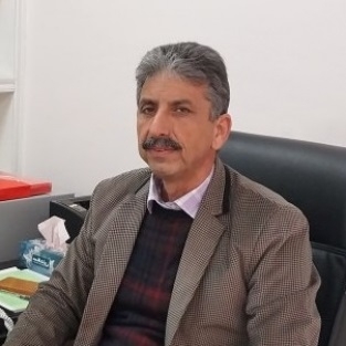 سیامک بیگی