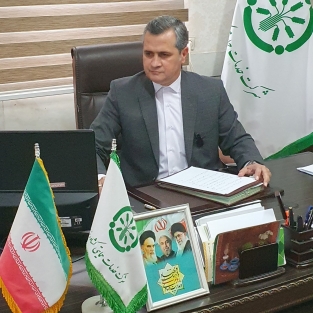محمد شریفی
