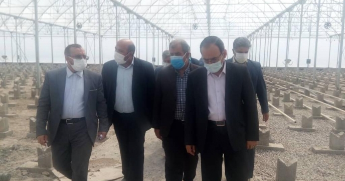 تحقق شعار سال با توسعه سرمایه گذاری در بخش کشاورزی