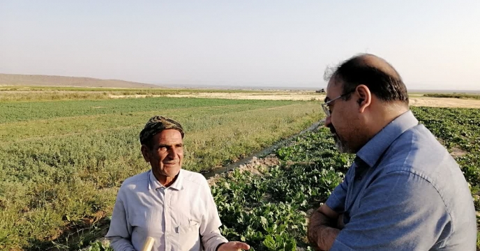 توزیع 8061 تن انواع کودکشاورزی بین کشاورزان گندم کار شهرستان ارزوئیه