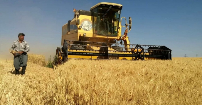 حمایت از کشاورزان شهرستان البرز: توزیع بیش از 700 تن کود کشاورزی برای کشت جو 