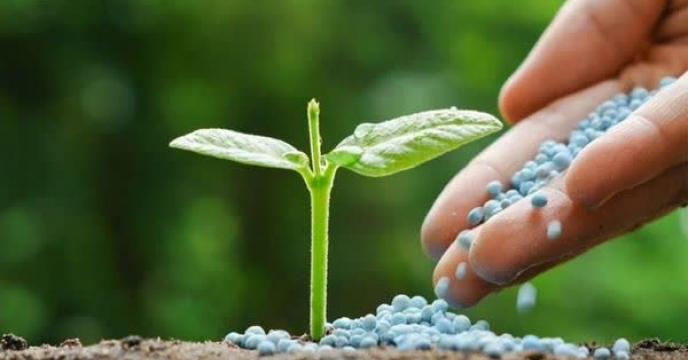 تأمین کودهای پایه، اولویت کشت پاییزه در ایلام