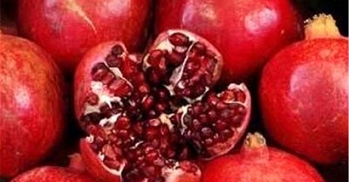 تولید 75 هزارتن انار در داراب استان فارس 