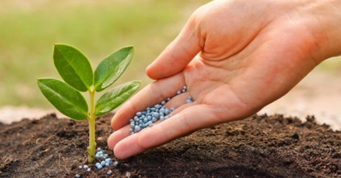 ابلاغ تامین انواع کود های کشاورزی از تولید کنندگان داخلی کشور به مدیران استان ارسال شد