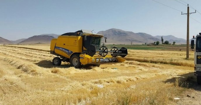 تامین انواع کودهای شیمیایی کشت جو در شهرستان فریدن 