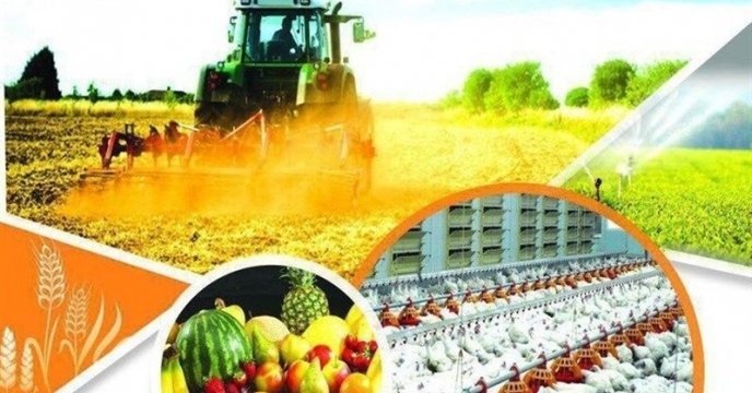 کاهش بارندگی و افزایش دما؛ تهدیدی جدی برای امنیت غذایی گلستان