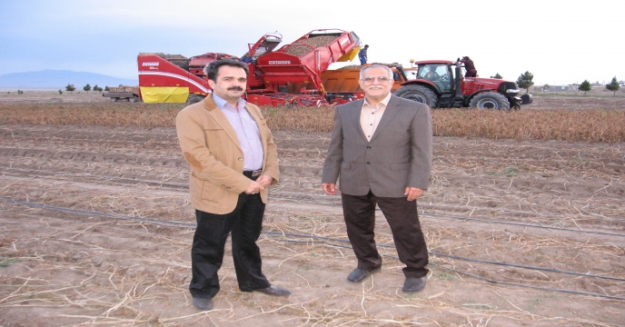برداشت مکانیزه سیب زمینی در مزارع شهرستان تربت حیدریه (جلگه رخ)