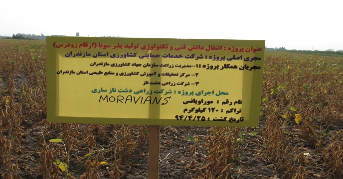 اجرای پروژه انتقال دانش فنی تولید بذر سویا در مازندران