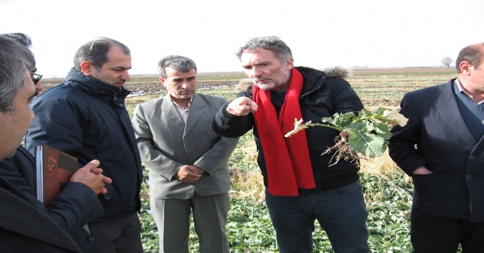 کارگاه آموزشی انتقال دانش فنی تولید کلزای هیبرید در استان اردبيل برگزار شد