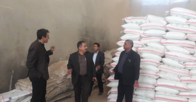بازدید مدیر شرکت خدمات حمایتی کشاورزی استان ایلام از انبار سازمانی مهران