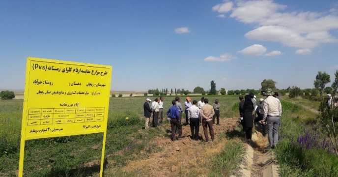 برگزاری کارگاه آموزشی کلزا در زنجان