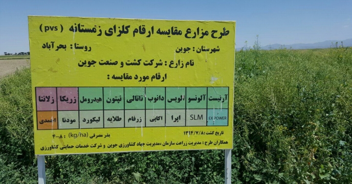 بازدید از ایستگاه تولید بذر هیبرید کلزای رقم نپتون