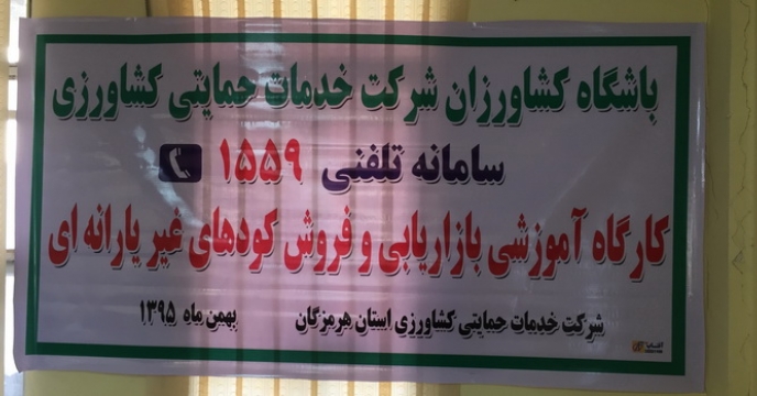 کارگاه آموزشی باشگاه کشاورزان شرکت خدمات حمایتی کشاورزی استان هرمزگان 