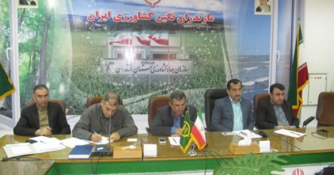 حضور سرپرست شرکت خدمات حمایتی کشاورزی مازندران در جلسه ستاد تغذیه گیاهی استان