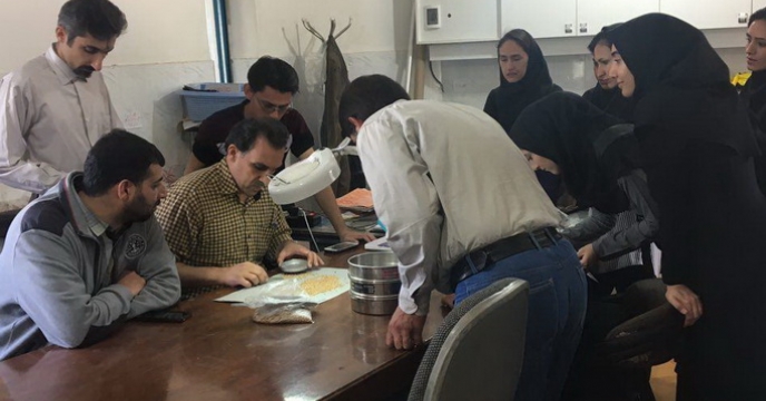 بازدید دانشجویان دانشگاه کشاورزی و منابع طبیعی  گرگان از کارخانه بوجاری بذر شرکت خدمات حمایتی کشاورزی استان گلستان