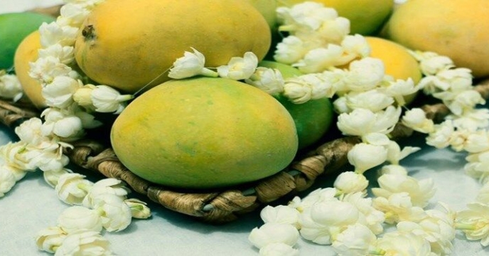 جشنواره شکرگزاری انبه و یاسمین گل – شهرستان میناب