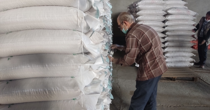 نمونه برداری از بذرهای پارت چینی شده توسط نماینده محترم موسسه تحقیقات ثبت و گواهی بذر 