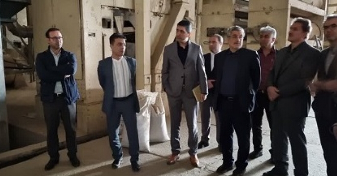 بازدید معاون محترم فنی و کنترل کیفی وهیئت همراه از کارخانه بوجاری بذر شرکت خدمات حمایتی کشاورزی استان گلستان