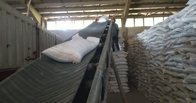 از سیب‌زمینی تا محصولات زراعی؛ مزارع بهار در مدار تامین نهاده