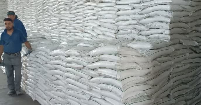 165تن انواع کودهای یارانه ایی در بین کشاورزان شهرستان پیشوا توزیع شد