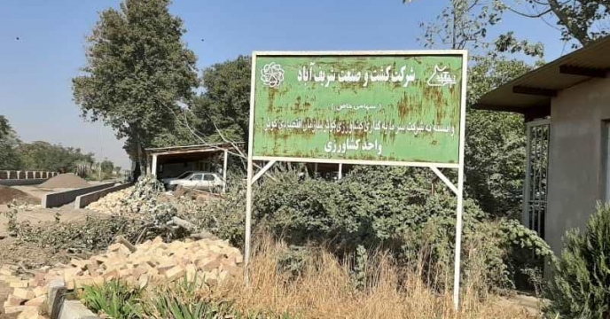 از مزرعه 11 هکتاری منتخب جهت پایلوت تغذیه گیاهی در استان قزوین نمونه برداری شد