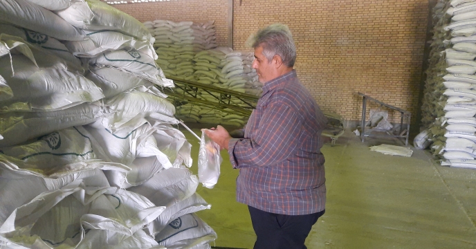 نمونه برداری از کود سولفات پتاسیم پودری تولیدی پتروشیمی ارومیه