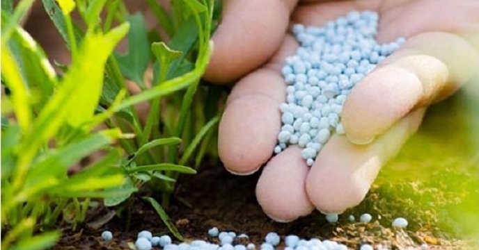 گندم کاران گلستانی می توانند  جهت تامین  نیاز کودهای ریزمغذی خود  به کارگزاری  های این شرکت  در سطح  استان مراجعه نمایند