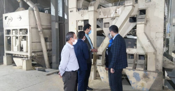 بازدید مدیر فنی و بهبود کیفیت بذر ونهال از انبار بذر گندم و کارخانه بوجاری  استان گلستان 
