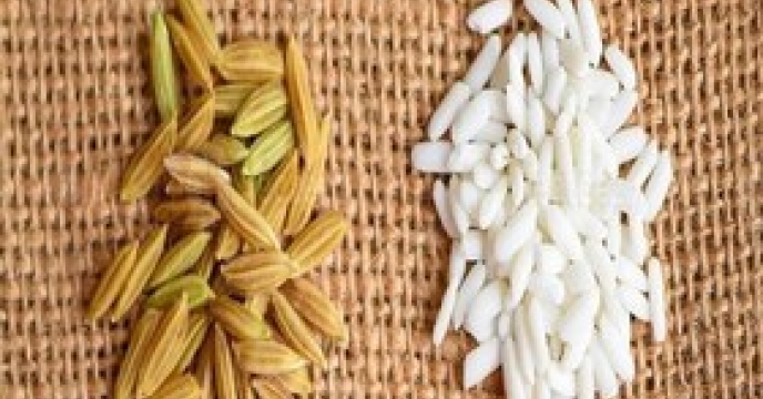 گزارش نتایج آنالیز قابل قبول کود سوپرفسفات ساده تولید داخل ارسالی از شعب شرکت خدمات حمایتی کشاورزی توسط مرکز تحقیقات کاربردی نهاده های کشاورزی