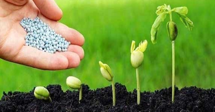 درج خبر کاهش ۴۵ درصدی قیمت کودهای شیمیایی از ابتدای سال ۱۴۰۱در همای سعادت آنلاین لرستان