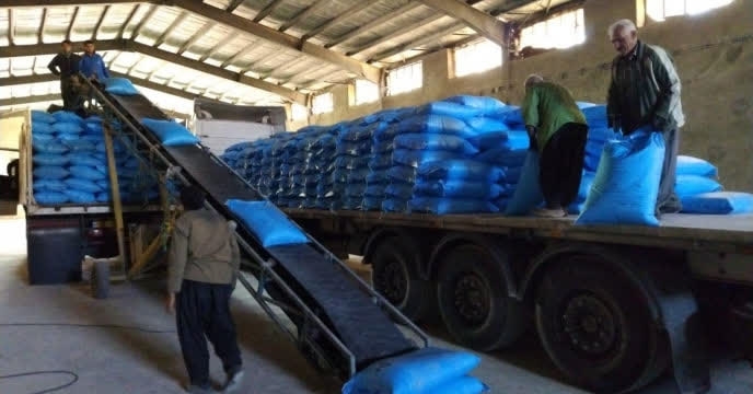 حمل مستقیم ۸,۸۰۵ تن کود اوره از مبادی پتروشیمی پردیس؛ گامی حمایتی از کشاورزی استان قزوین