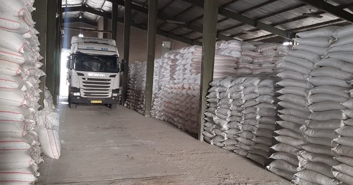 توزیع بیش از 235تن انواع کودهای کشاورزی در سطح مزارع شهرستان پاکدشت