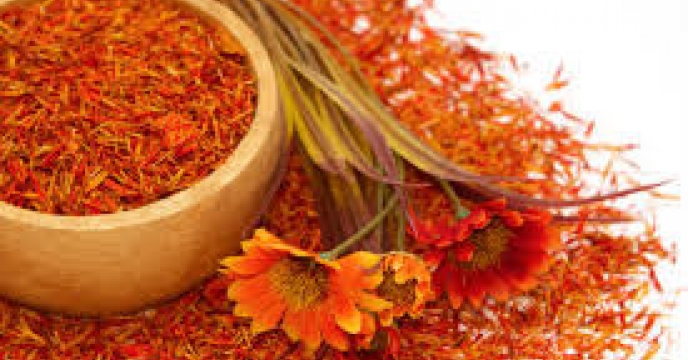 فروش بذر گلرنگ وارداتی در استان اردبیل