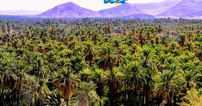 هفته هرمزگان
