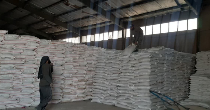 مقدار 730 تن انواع کودهای کشاورزی در شهرستان  ری توزیع شد