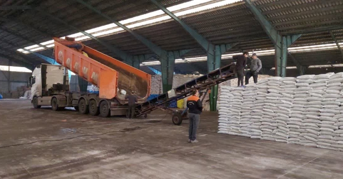 بیش از 2164 تن انواع نهاده‌های کشاورزی بین کارگزاران شهرستان شفت توزیع شد