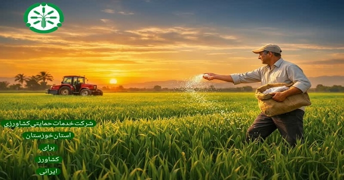 تأمین انواع کود کشاورزی در آذرماه سال جاری با صدور 4053 حواله توسط کارگزاران شرکت خدمات حمایتی کشاورزی استان خوزستان در شهرستان ایذه
