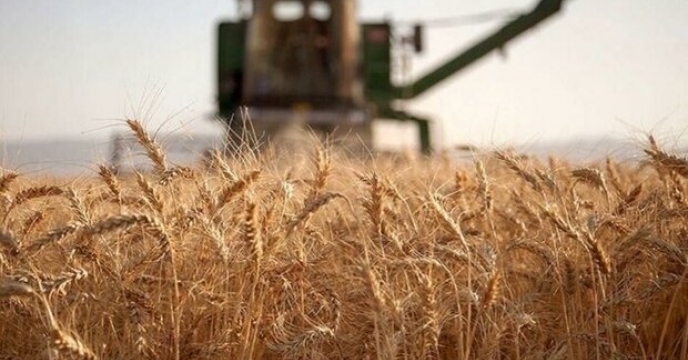 شهرستان آوج؛ پیشتاز دریافت نهاده‌های کشاورزی در حمایت از کشت گندم
